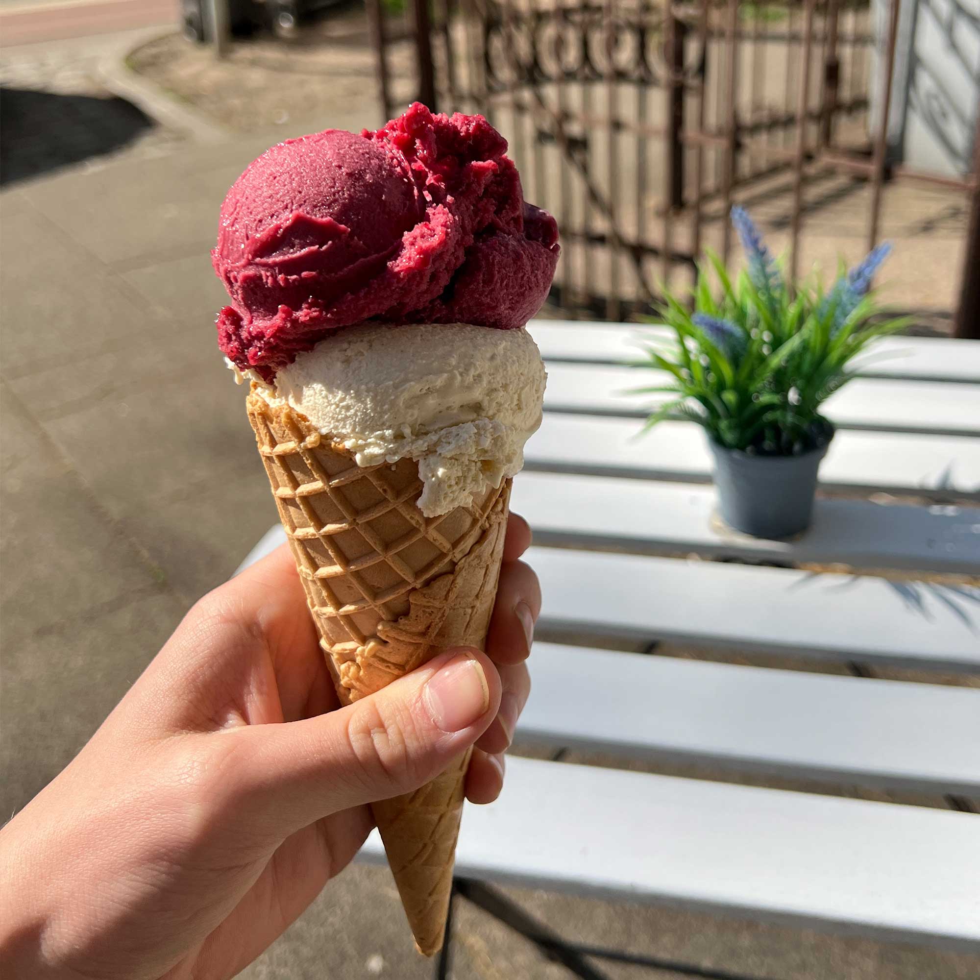 Ein Man hällt eine Waffel mit 2 Kugeln Eis in der Hand